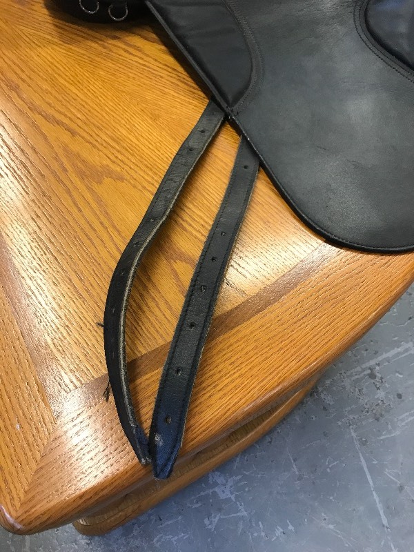 CAMBRIDGE INTERNATIONAL ENGLISH SADDLE