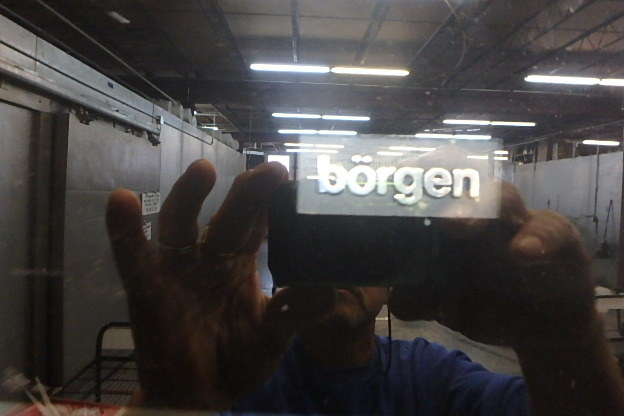 Borgen Retail Flower Cooler