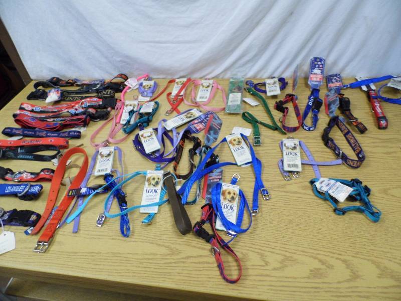 New Dog Collars