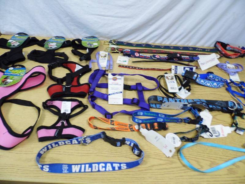 New Dog Collars