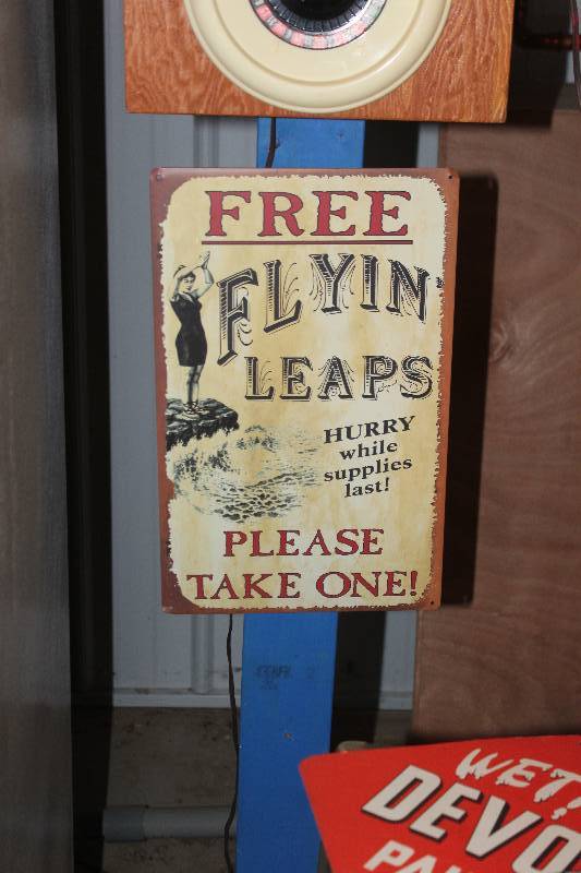 lot 268 image: Free Flyin Leaps Sign