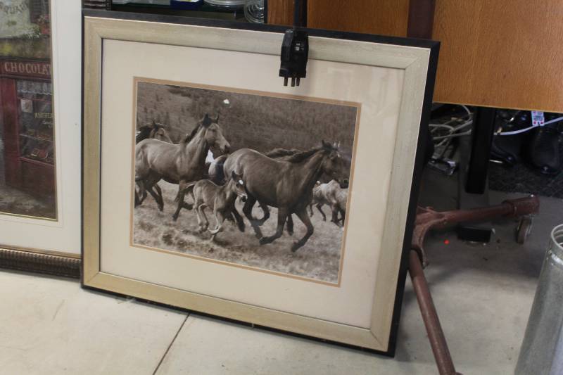 lot 371 image: Horse Framed Matted Wall Art