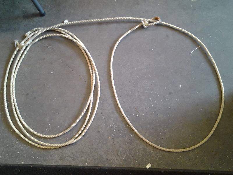 lot 8 image: Lasso Rope