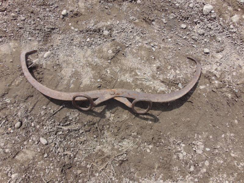 lot 159 image: Ice Tongs