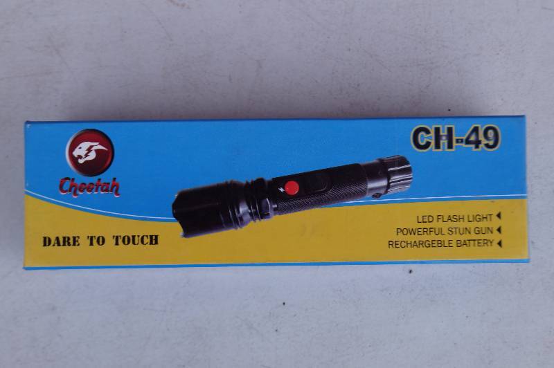 FlashlightStun Gun