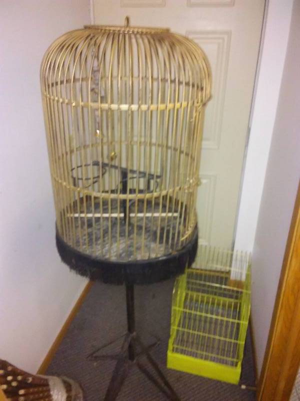 lot 105 image: Bird Cages (2) Pedestal and Lime Green