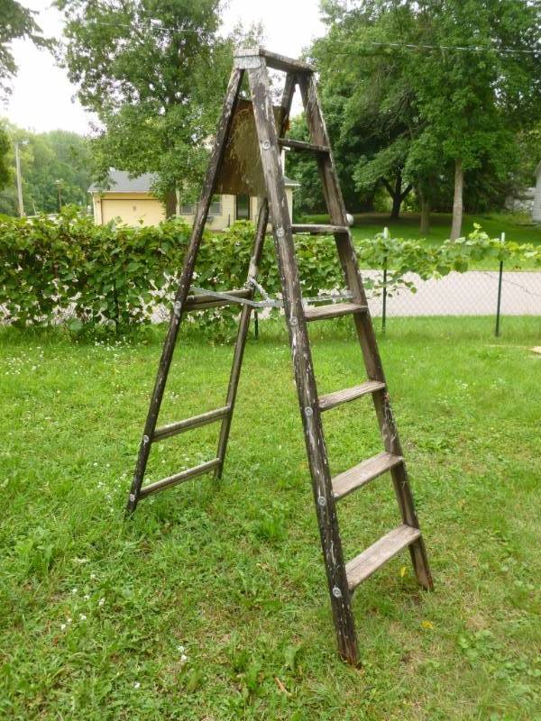 lot 242 image: Step Ladder