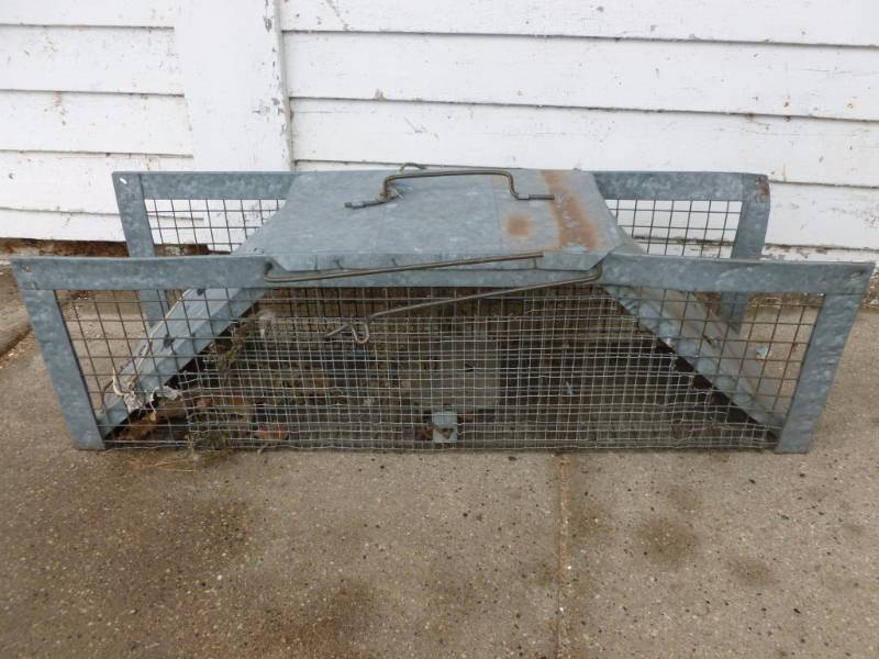 lot 31 image: Live Trap