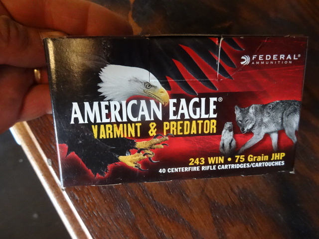 American Eagle 243 Win 75 grain JHP. Varmint and Predator. AE24375VP. 40 shells per box. 1 Box.