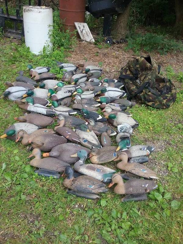 lot 8 image: Lot - Flambeau Mallard & Hen Decoys. Woodducks, Teal