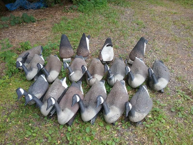 lot 9 image: Lot - Goose Decoys - Floaters & Feeder Decoys