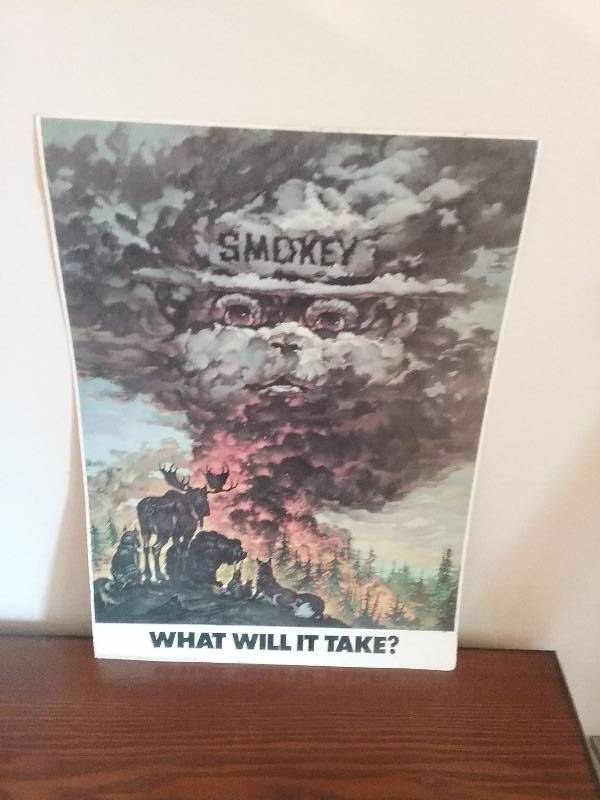lot 128 image: Vintage SMOKEY the Bear What Will It Take Poster