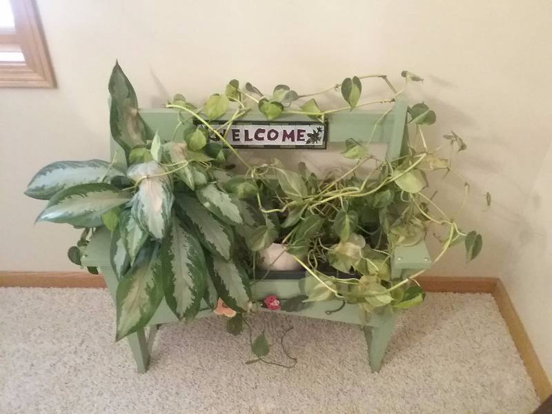 lot 138 image: Welcome Bench Planter & Plants, 28x30x10