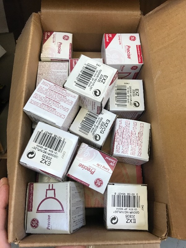 LOT OF BULBS