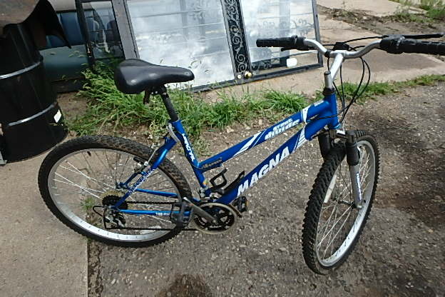 lot 248 image: Magna Bike