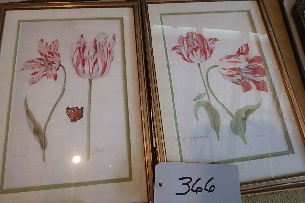 lot 366 image: Prints, Frames