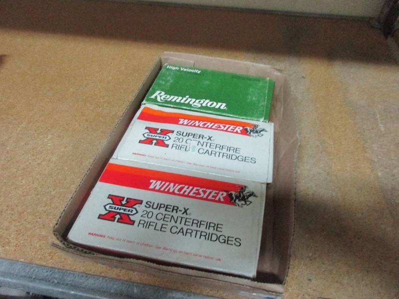 30-06 cartridges