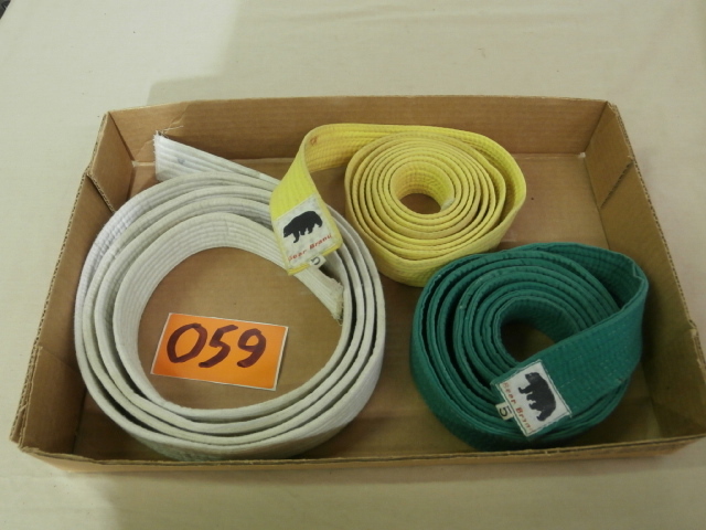 lot 59 image: Three Vintage Karate Belts