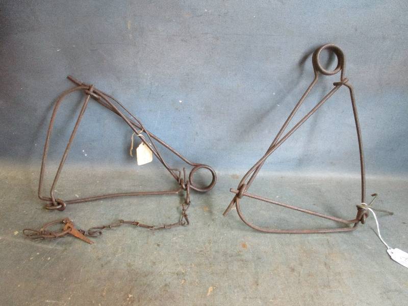 lot 12 image: Triangular Body Grip Traps