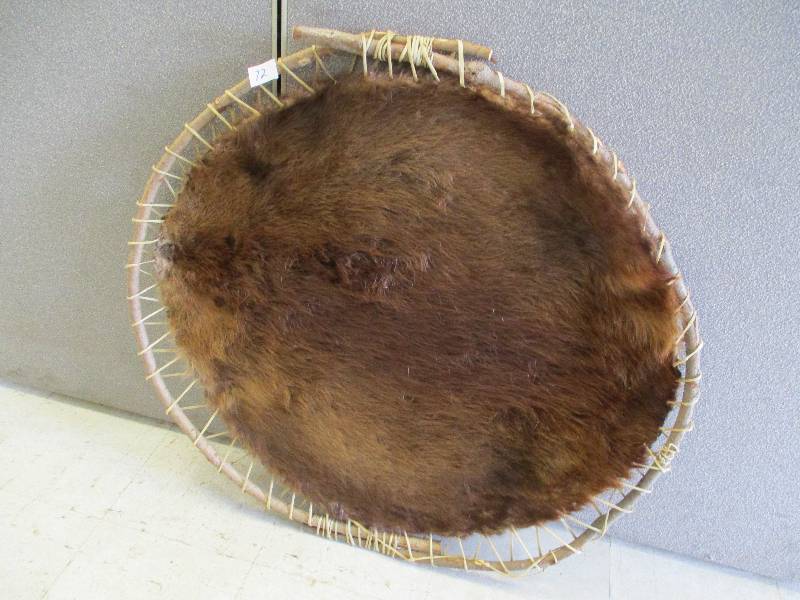 lot 72 image: Beaver Pelt