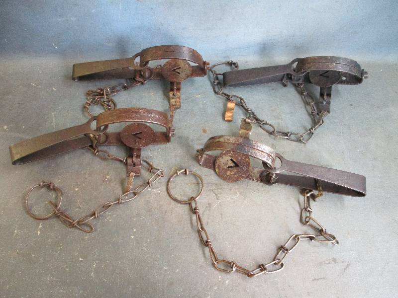 lot 79 image: Oneida Victor Traps