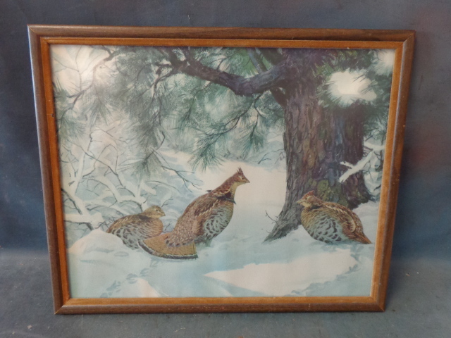lot 124 image: Framed Ruffled Grouse Print