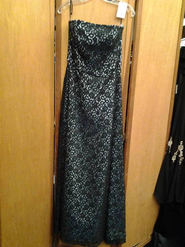 No Name Black Lace Over Light Blue Size 6