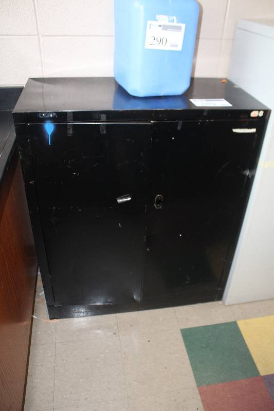lot 289 image: 2-Door 2-Shelf Metal Storage Cabinet
