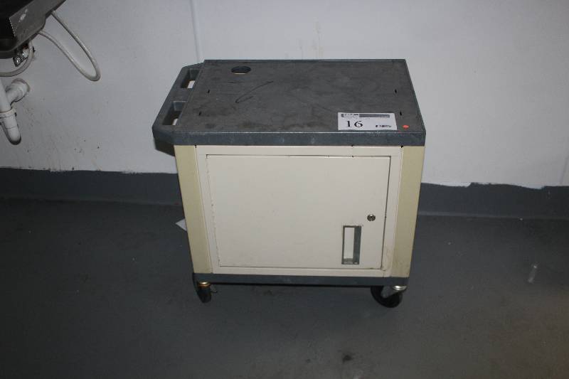 lot 16 image: 4-Wheel Rolling Cabinet