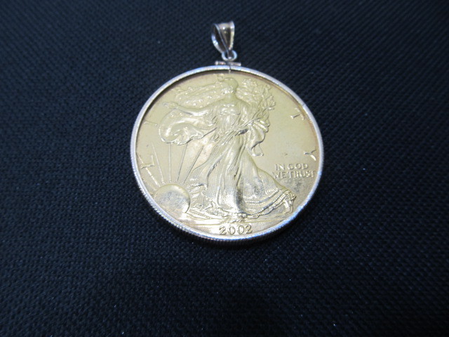 lot 65 image: 1 Ounce Fine Silver Coin wClasp