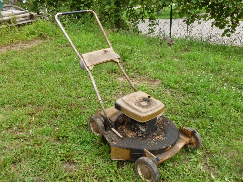 lot 20 image: Push Mower