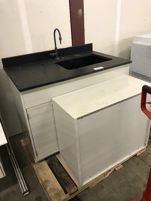 Laboratory cabinet with sink