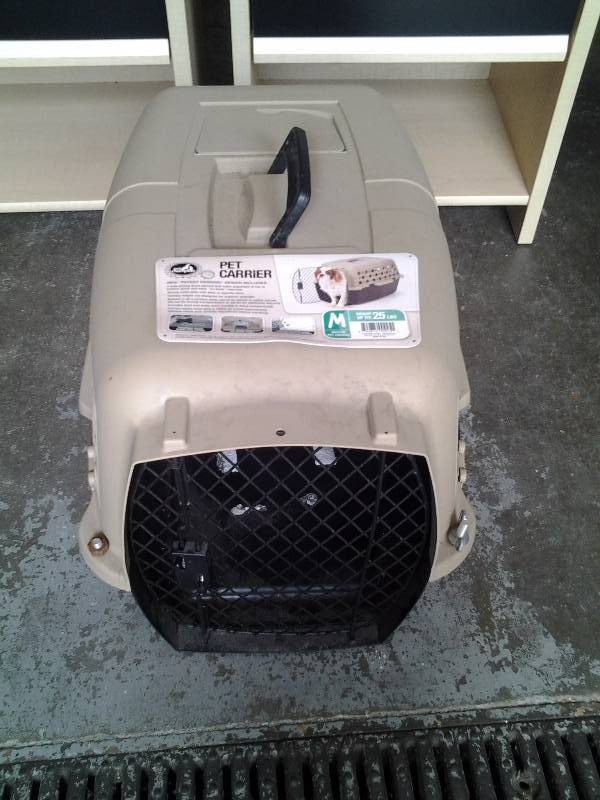 lot 3 image: Medium Size Pet Carrier