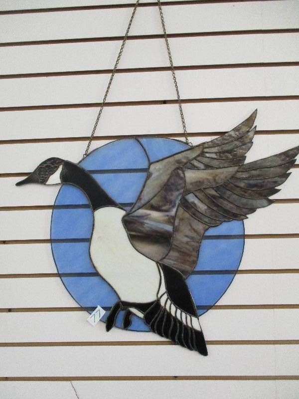 Canadian Goose