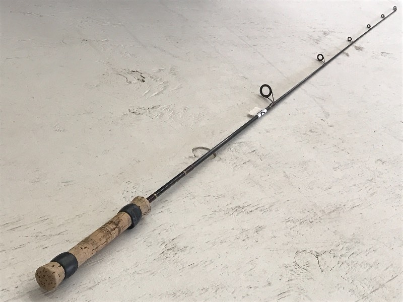 Quantum Spinning Rod