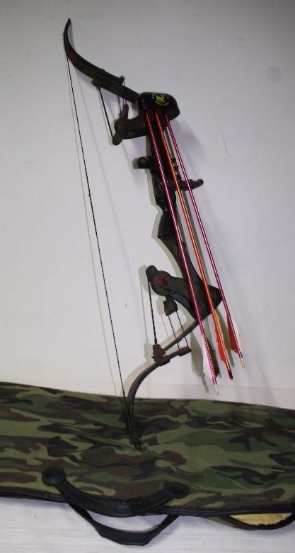Composite Bow