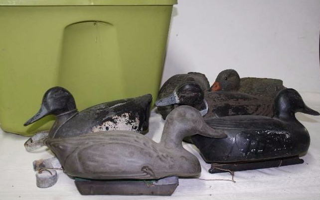 Decoy Ducks