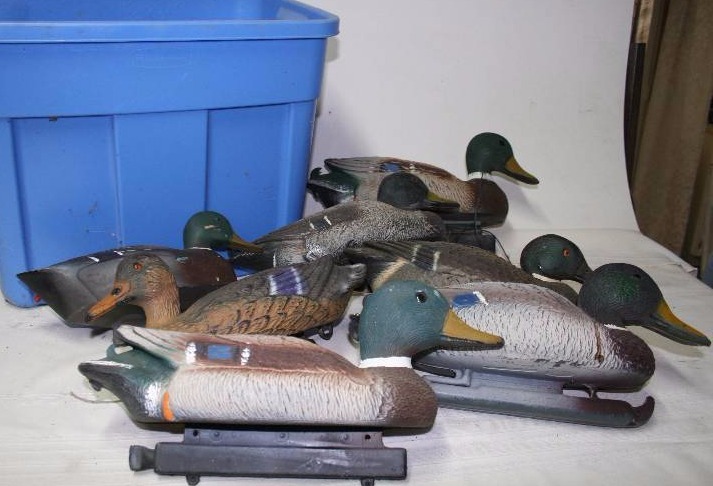 Decoy Ducks