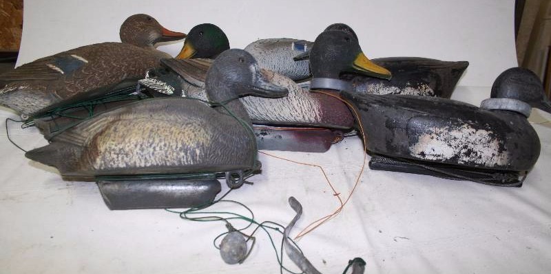 Decoy Ducks