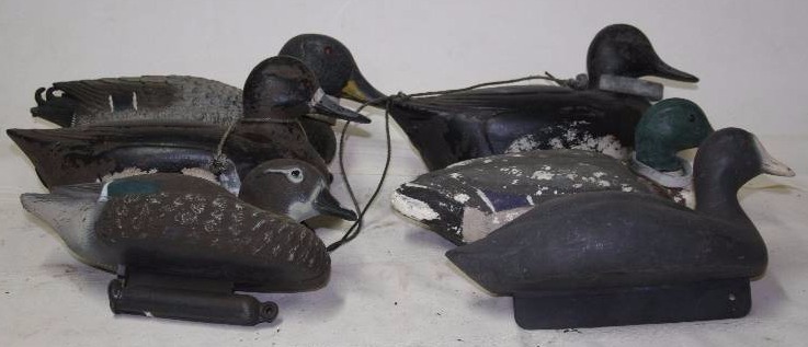Decoy Ducks