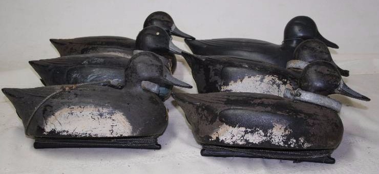 Decoy Ducks