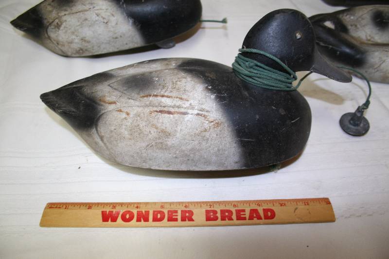 Decoy Ducks