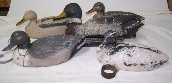 Decoy Ducks