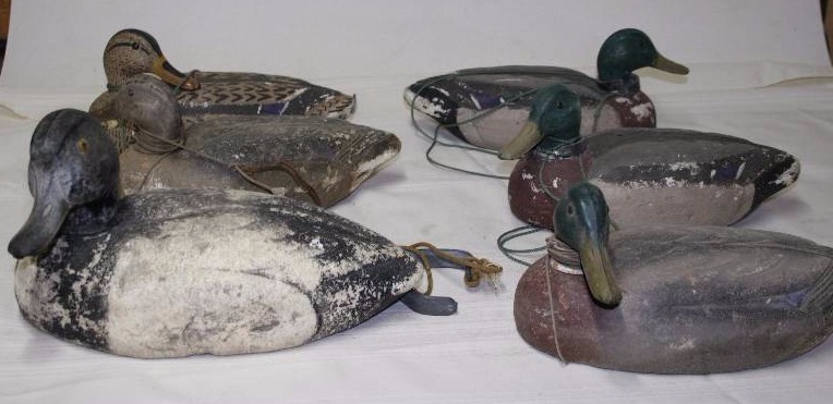 Decoy Ducks
