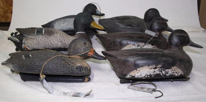 Decoy Ducks