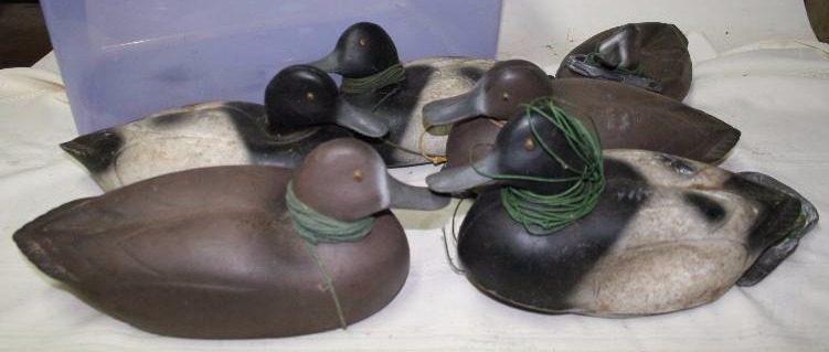 Decoy Ducks