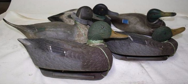 Decoy Ducks