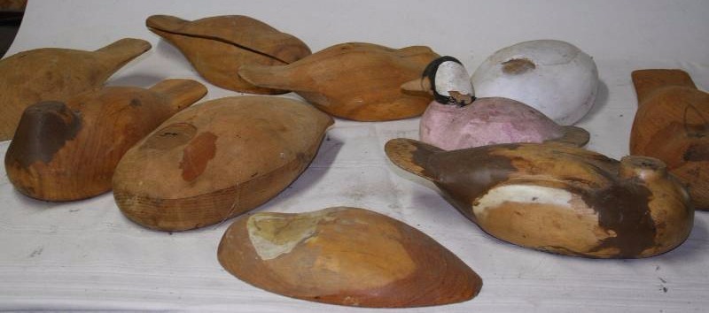Decoy Duck Bodies