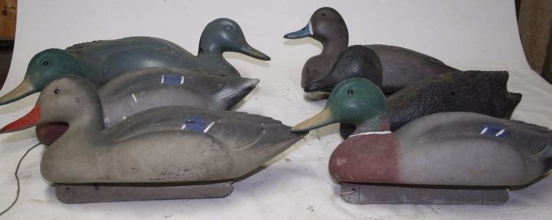 Decoy Ducks