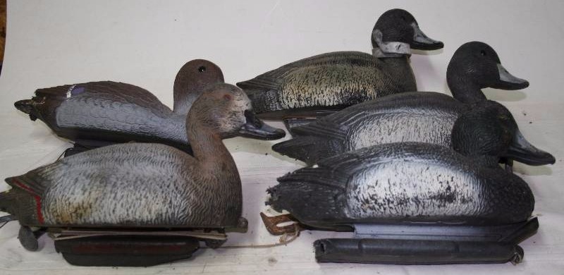 Decoy Ducks